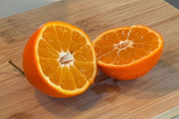 Rare Fruit Growers Host Workshops at Land Use Center