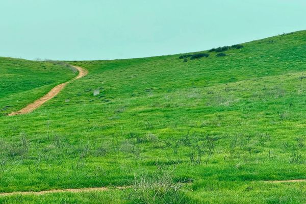 Emerald Empire: Finding Ireland in Riverside's Hills