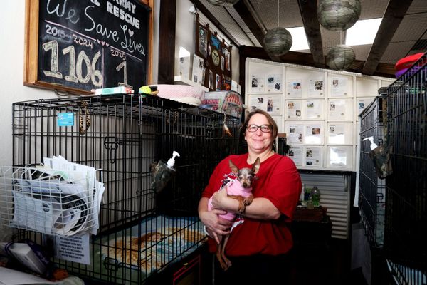 Neighbor of the Week: Robin Lissner