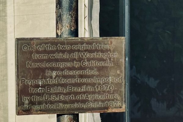 Exploring Riverside History: A Visitor's Guide to Historical Markers