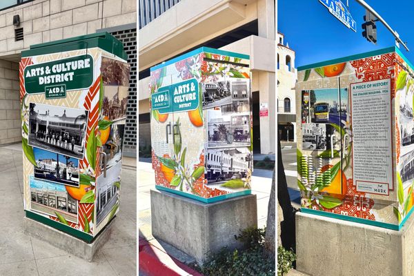 Beyond Bougainvillea: Riverside's Utility Box Beautification