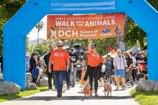 Riverside Pet Walk Returns for 33rd Year