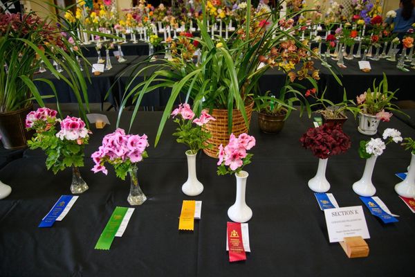 Historic 77-Year-Old Flower Show and Garden Tour Celebrates Citrus Heritage and Spring in Riverside