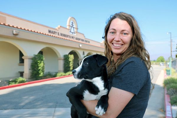 Neighbor of the Week: Erin Tavaglione