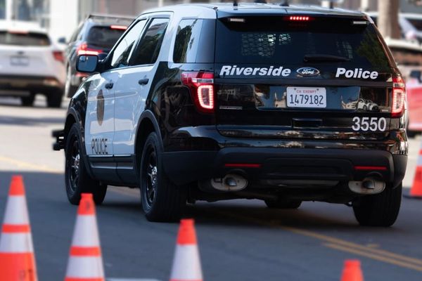 Police Alert Downtown Businesses to Weekend Demonstrations