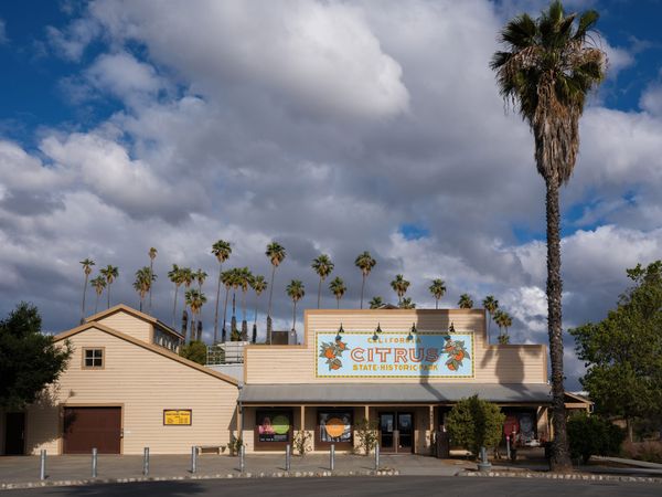 Riverside Summer Bucket List: Local Insiders Share Their Must-Do Picks
