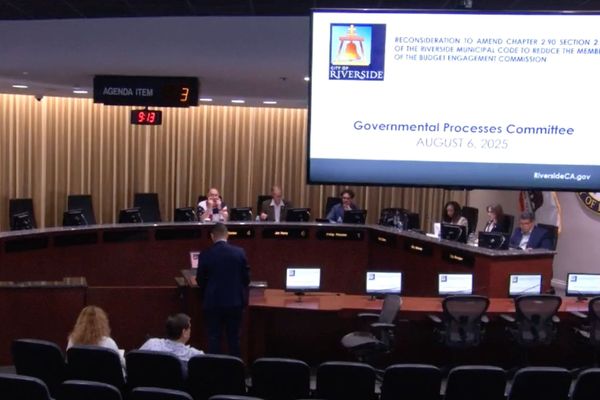 Committee Delays Charter Review Appointments to Avoid Lame-Duck Selections