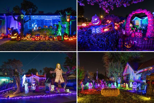 Last-Minute Guide: Halloween and Día de los Muertos Events This Weekend