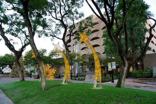 This Week in City Hall: December 1, 2025