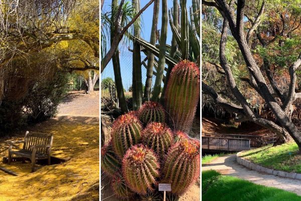 Raincross Rundown: The Best of Riverside in November 2025