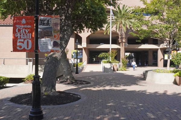 This Week in City Hall: November 10, 2025