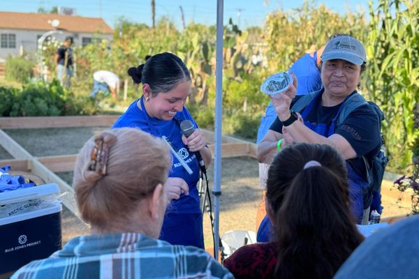 How to Have a Blue Zones Holiday
