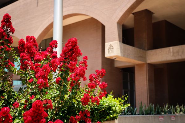 This Week in City Hall: January 19, 2026