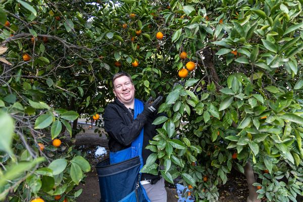 Taste Riverside's Citrus Legacy at Heritage House