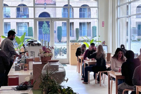 Stray Dogs Coffee Marks One Year With a Month of Celebrations