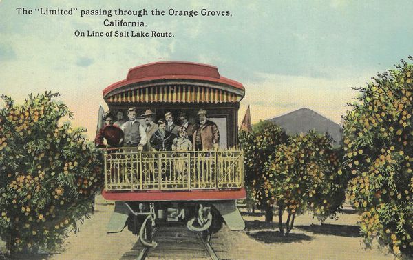 Packed and Gone: The Rise and Fall of Strachan Fruit Company
