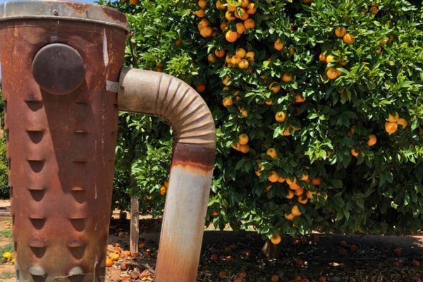 Citrus Festival Returns to California Citrus State Historic Park on March 28