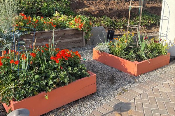 From the Kitchen Garden: April, Spring Planting Begins