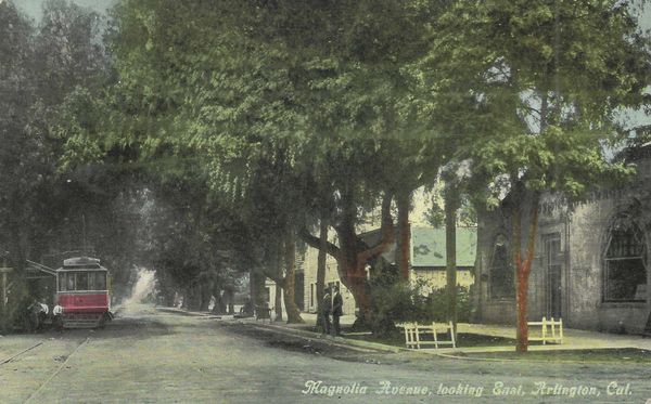 Palms, Presidents and Pepper Trees