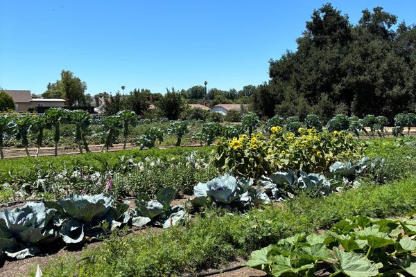 From Family Farm to Nonprofit: The Ungers Are Growing Opportunity in Riverside