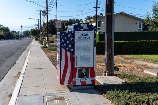 Public Works Turns Traffic Boxes Into Public Art