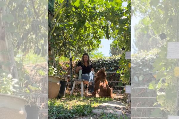 From the Kitchen Garden: August, The Keep It or Pull It Edition