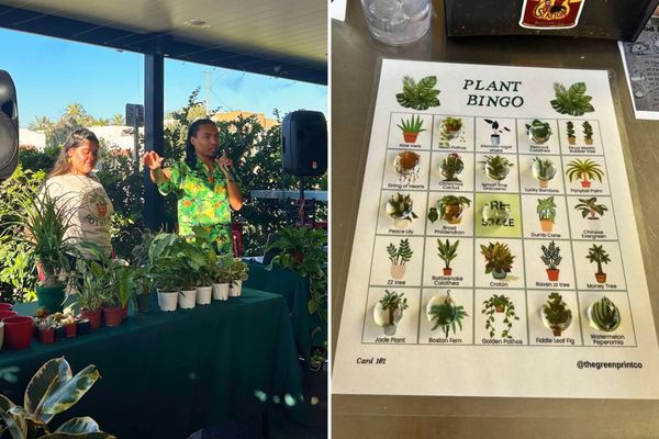 Homegrown: How Two Riverside Plant Lovers Built Plant Bingo
