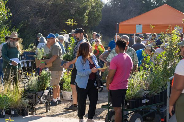 Native Plant Sale and Free Garden Workshops Return to Riverside Nov. 7
