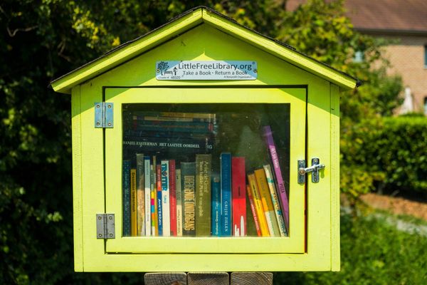 A yellow birdhouse-shaped box with a glass door holds rows of books on a wooden post outdoors.