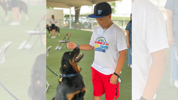 A photo of a Kids Camp attendee playing with an adoption dog.