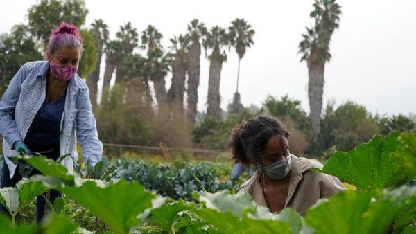 New Community Garden: Overflow Farms
