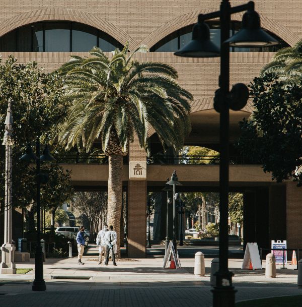 Afternoon shot of City Hall