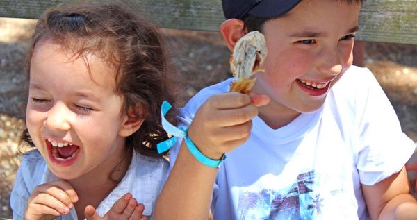 City of Riverside Summer Meals Program is Back with Kids’ Favorites