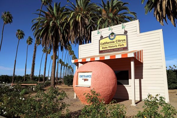 California State Budget: Investing in Riverside