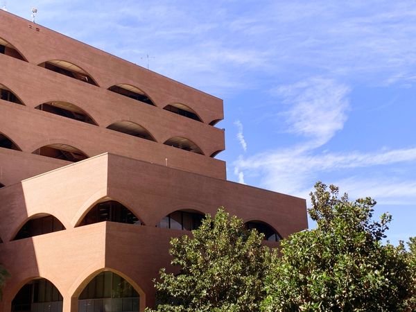 This Week in City Hall, January 23