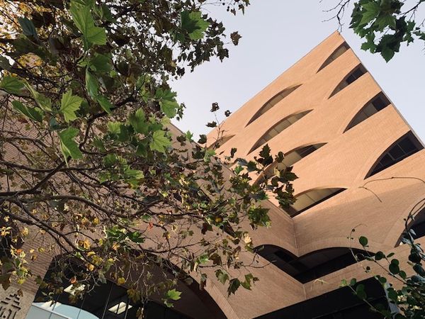 This Week in City Hall, February 6