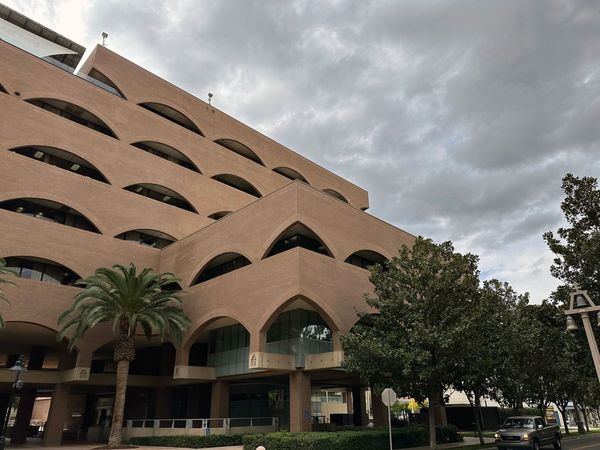 This Week in City Hall, January 31
