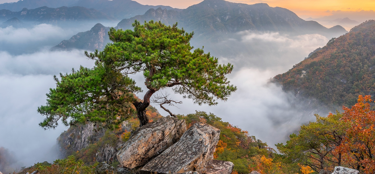 A Meditation On Letting Go of Our Devices