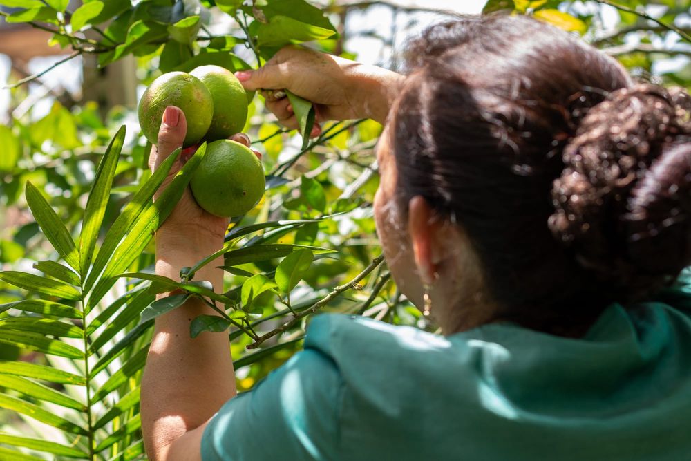 Cobro de piso: Nadie detiene al crimen imagen de publicación