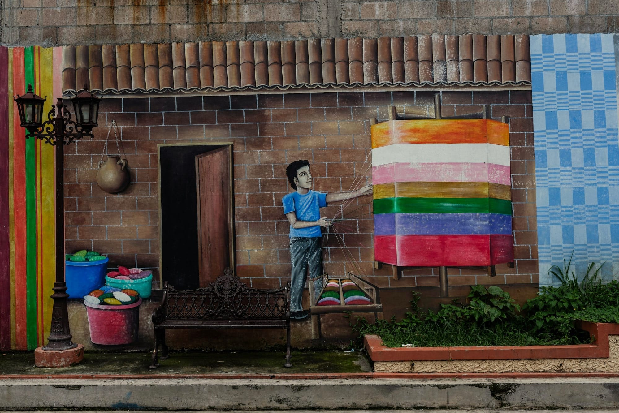 Sombras y Raíces