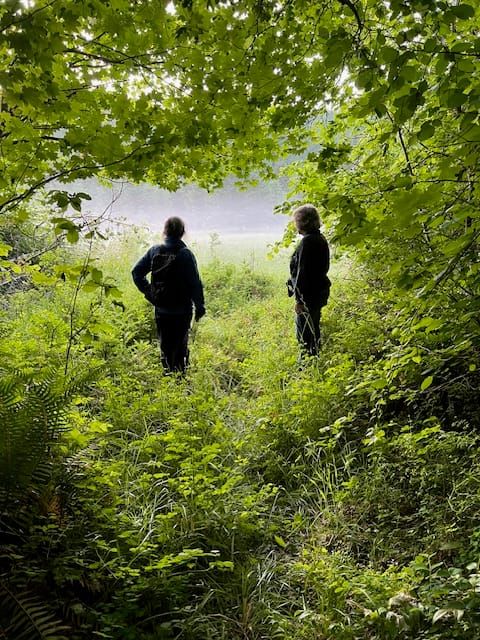 Quarterly Update - 2025 Q3: