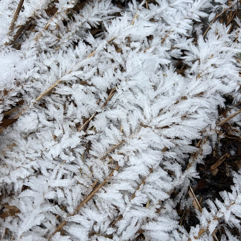 Quarterly Update – 2025 Q1: