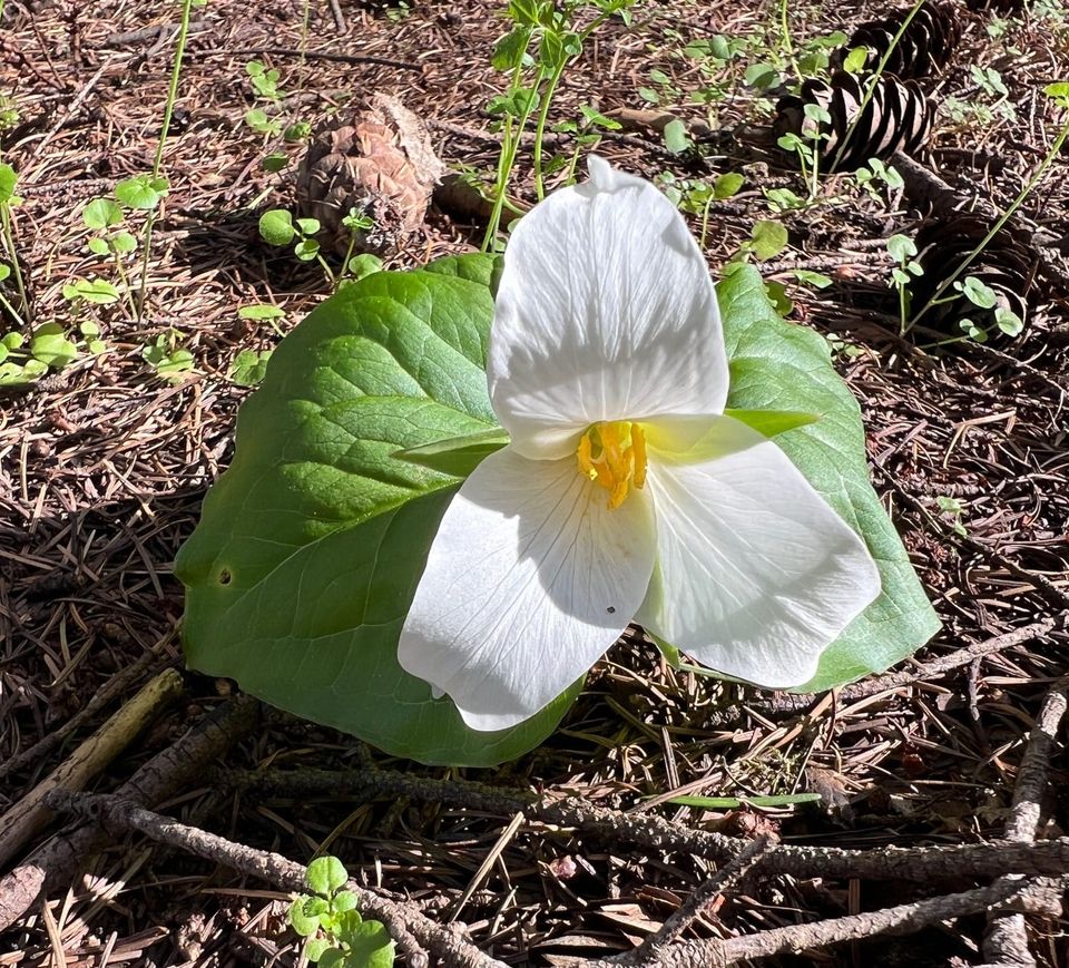 Quarterly Update - 2026 Q1 - Taking Care