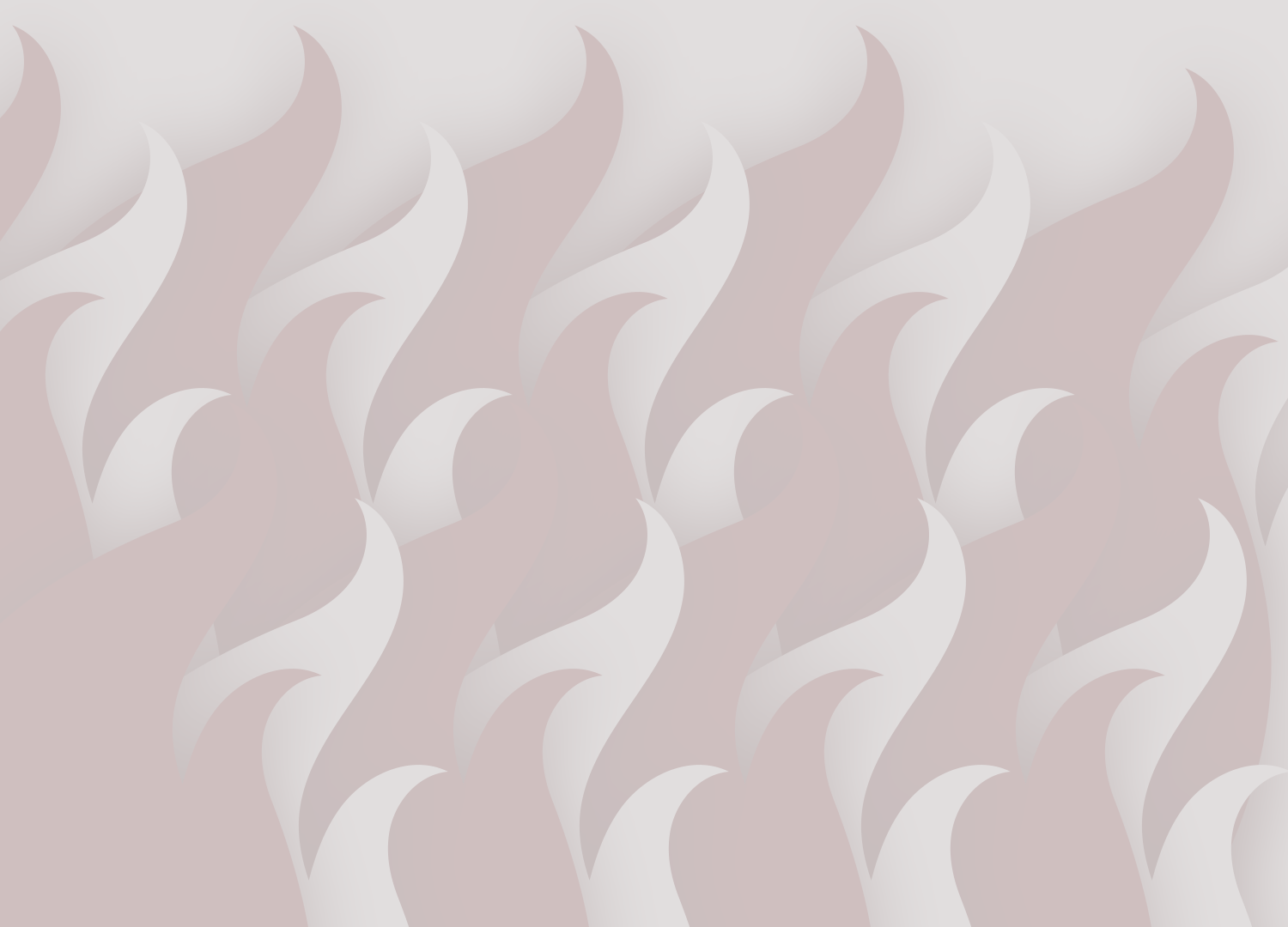 Burns Notice