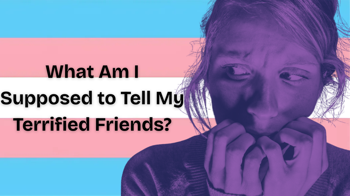 What Am I Supposed to Tell My Terrified Friends?