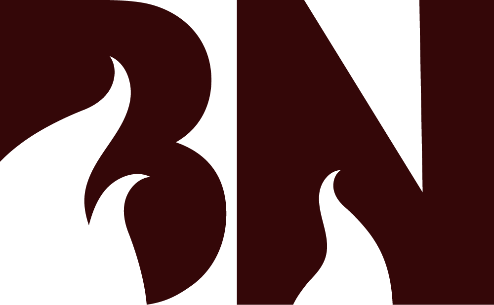 What  is Burns Notice