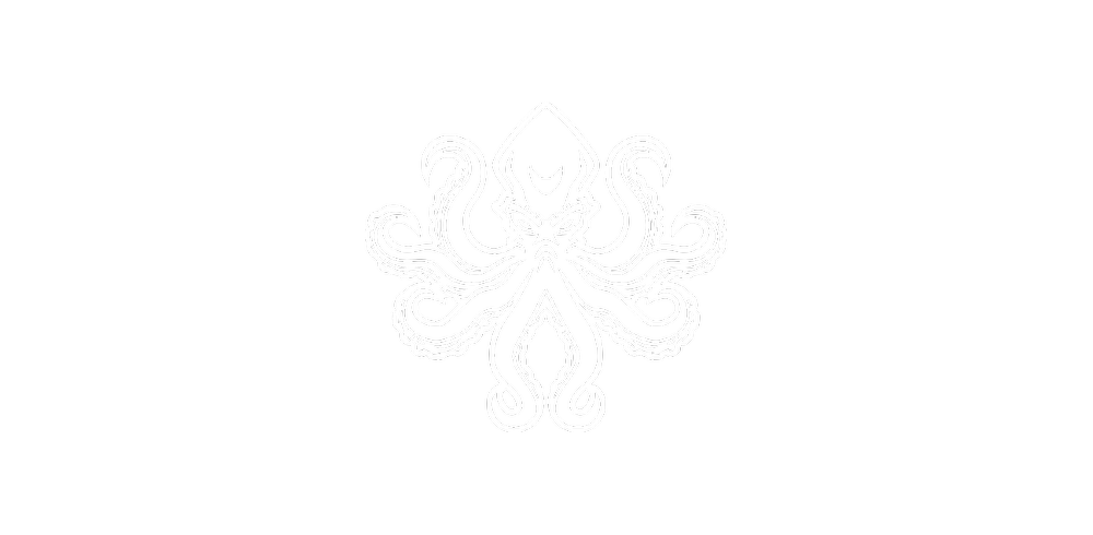 BlackSea Technologies