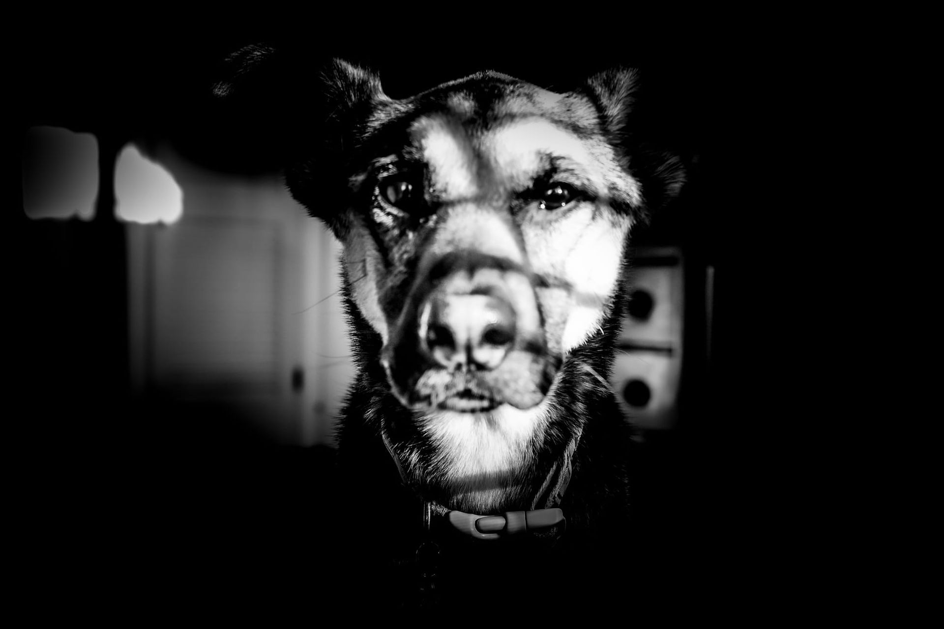 Capitol Hill, April 6-10