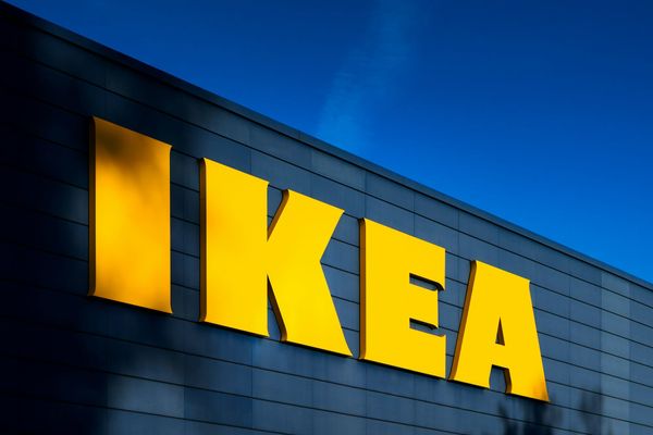IKEA New Zealand Pauses Customer Support Amidst Launch Demand Struggles