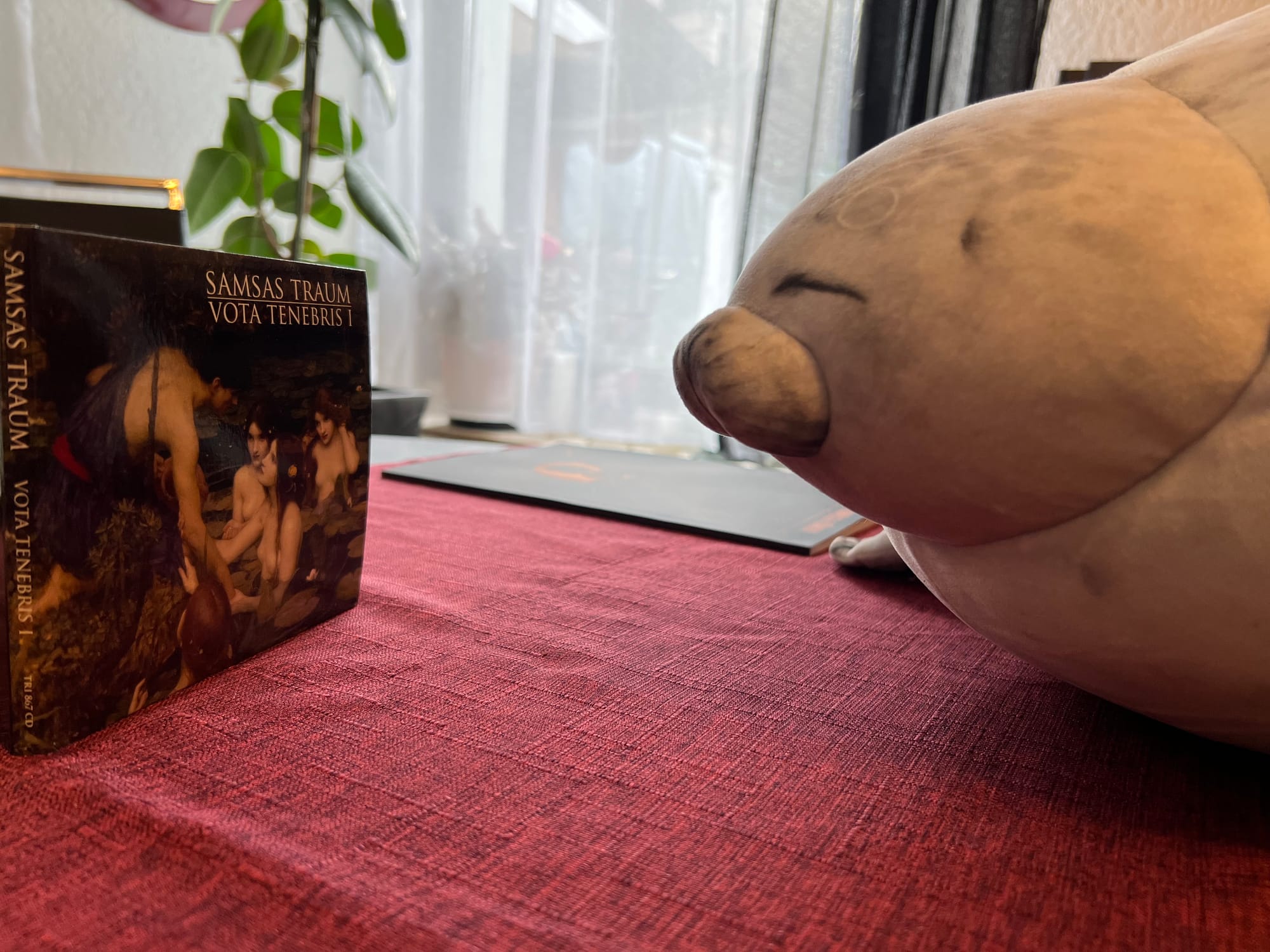Runde Robbe im Gruppenbild mit "Vota Tenebris I". Sie blickt vorsichtig auf die CD.